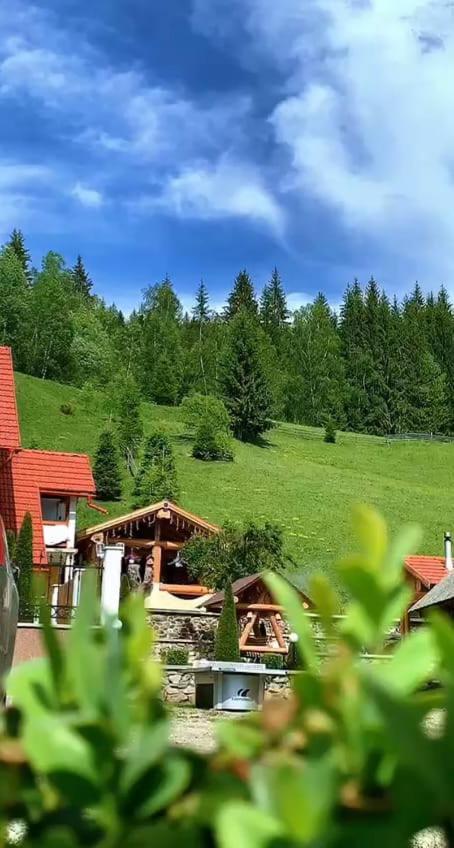 Casa Anghel Villa Bilbor Eksteriør bilde